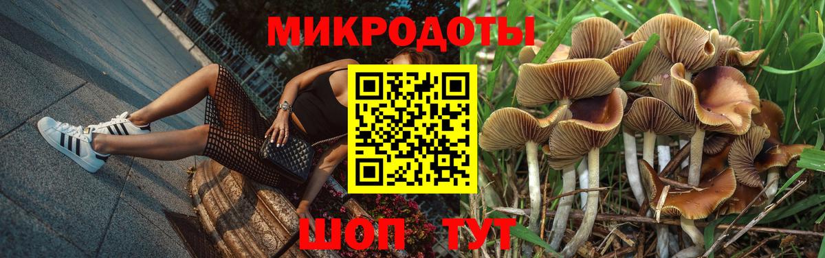 Краснодар  Галлюциногенные грибы мицелий  Псилоцибиновые грибы Cubensis  Вход с VPN 