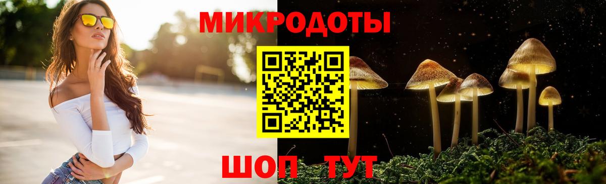 Галлюциногенные грибы мицелий Краснодар