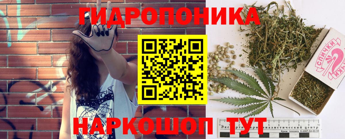Марихуана план Краснодар