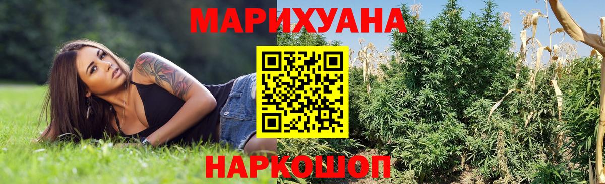 Шишки марихуана ГИДРОПОН  Вход с VPN  Краснодар  Канабис OG Kush 